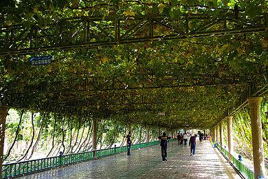 暴雪表示《暗黑4》公开Beta测试时 将解决排队问题